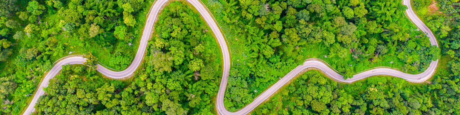 net zero commitments