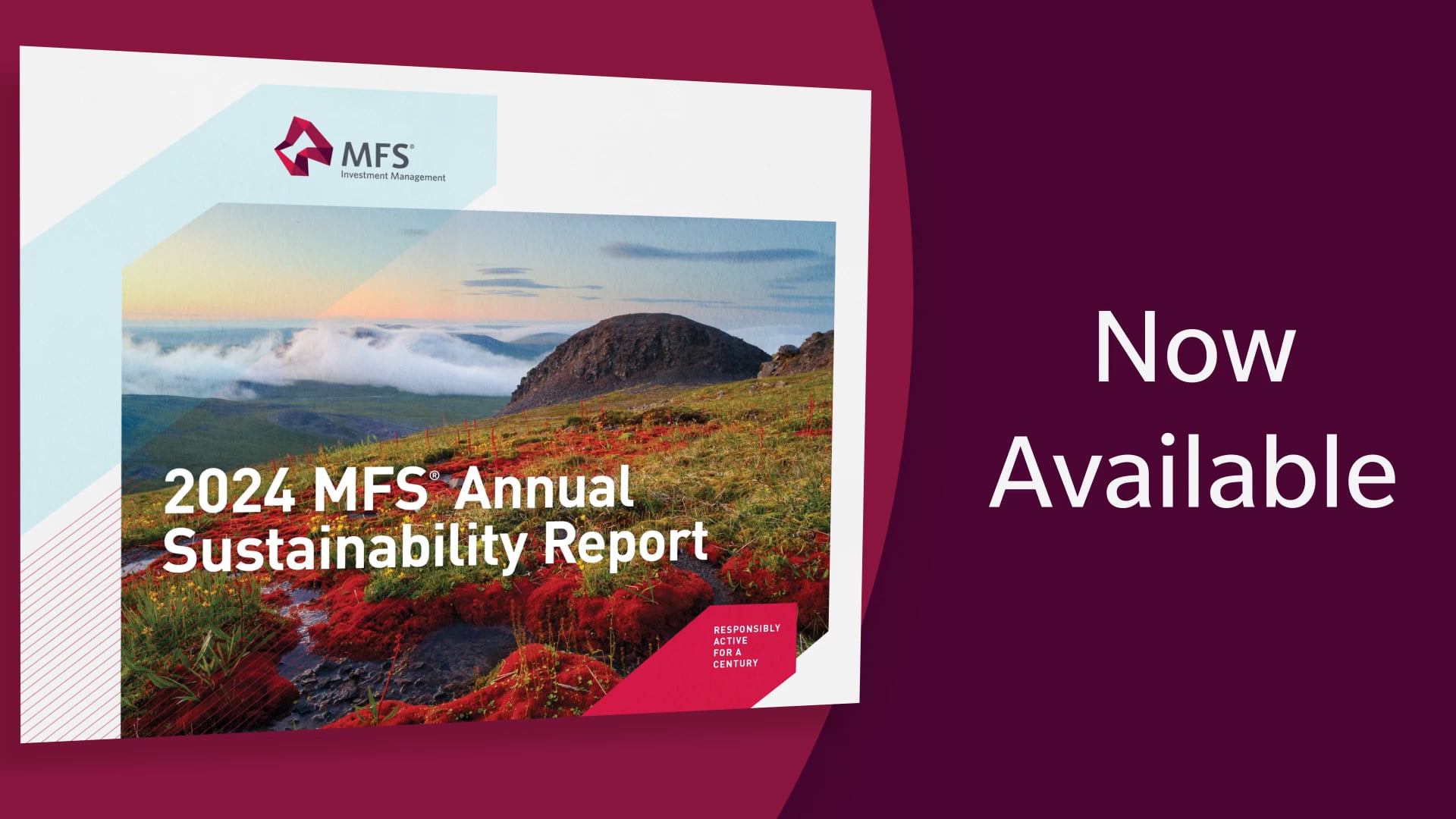 2024 MFS Sustainability Approach